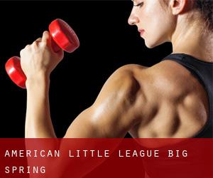 American Little League (Big Spring)