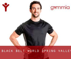Black Belt World (Spring Valley)