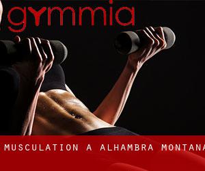 Musculation à Alhambra (Montana)