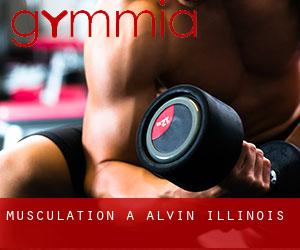 Musculation à Alvin (Illinois)