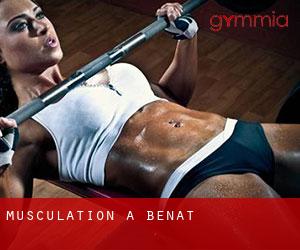 Musculation à Benat