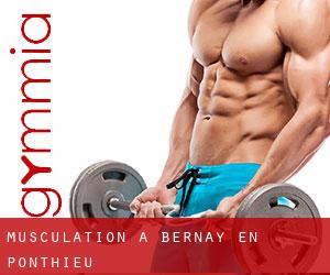 Musculation à Bernay-en-Ponthieu