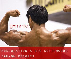Musculation à Big Cottonwood Canyon Resorts