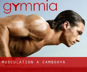 Musculation à Cambooya