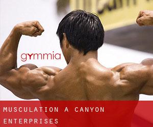 Musculation à Canyon Enterprises