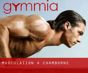 Musculation à Chamborne