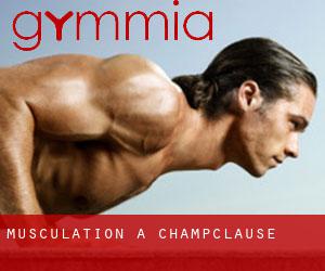 Musculation à Champclause