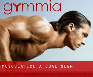 Musculation à Coal Glen
