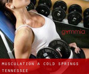 Musculation à Cold Springs (Tennessee)