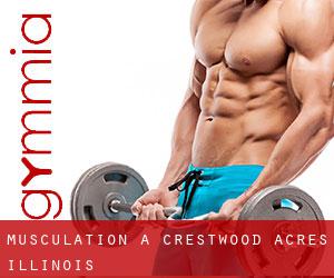 Musculation à Crestwood Acres (Illinois)
