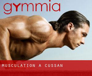 Musculation à Cussan