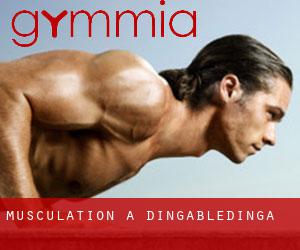 Musculation à Dingabledinga