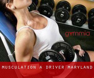 Musculation à Driver (Maryland)