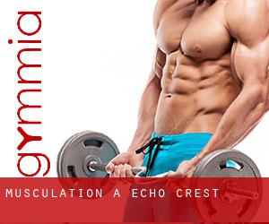 Musculation à Echo Crest