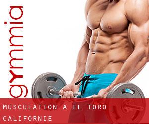 Musculation à El Toro (Californie)