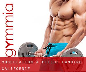 Musculation à Fields Landing (Californie)