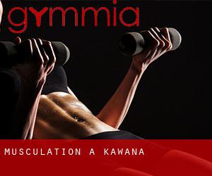 Musculation à Kawana