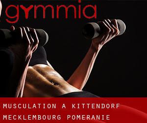 Musculation à Kittendorf (Mecklembourg-Poméranie)