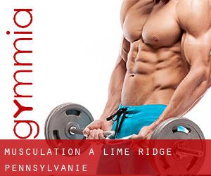 Musculation à Lime Ridge (Pennsylvanie)