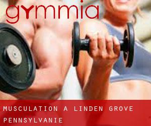 Musculation à Linden Grove (Pennsylvanie)