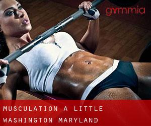 Musculation à Little Washington (Maryland)