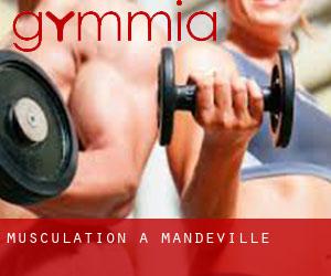 Musculation à Mandeville