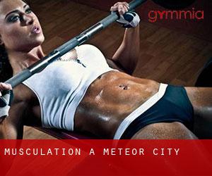 Musculation à Meteor City