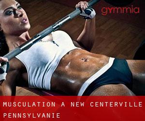 Musculation à New Centerville (Pennsylvanie)