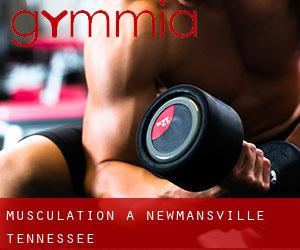 Musculation à Newmansville (Tennessee)