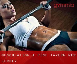 Musculation à Pine Tavern (New Jersey)