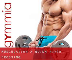 Musculation à Quinn River Crossing