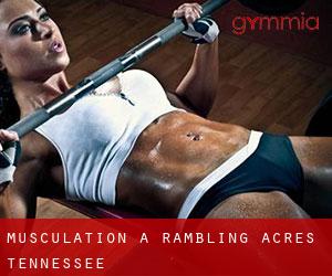 Musculation à Rambling Acres (Tennessee)
