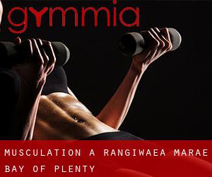 Musculation à Rangiwaea Marae (Bay of Plenty)