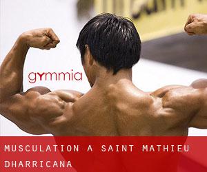 Musculation à Saint-Mathieu-d'Harricana