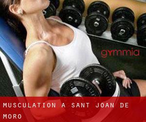 Musculation à Sant Joan de Moró