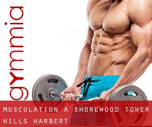 Musculation à Shorewood-Tower Hills-Harbert