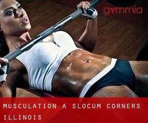 Musculation à Slocum Corners (Illinois)