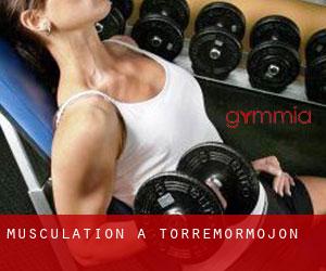 Musculation à Torremormojón