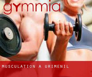 Musculation à Uriménil