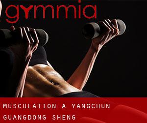 Musculation à Yangchun (Guangdong Sheng)