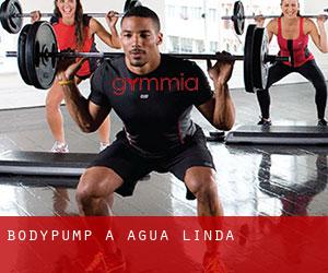 BodyPump à Agua Linda