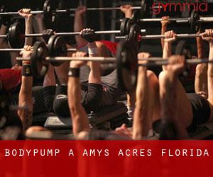 BodyPump à Amys Acres (Florida)