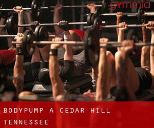 BodyPump à Cedar Hill (Tennessee)