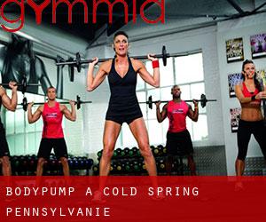 BodyPump à Cold Spring (Pennsylvanie)
