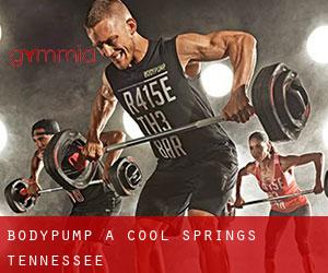 BodyPump à Cool Springs (Tennessee)