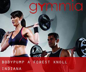 BodyPump à Forest Knoll (Indiana)