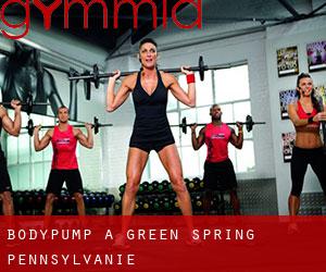 BodyPump à Green Spring (Pennsylvanie)