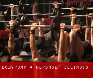BodyPump à Neponset (Illinois)