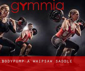 BodyPump à Whipsaw Saddle