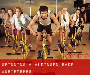 Spinning à Aldingen (Bade-Wurtemberg)